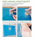Tripsų vabzdžių vilioklis THRIPNOK, 1 vnt